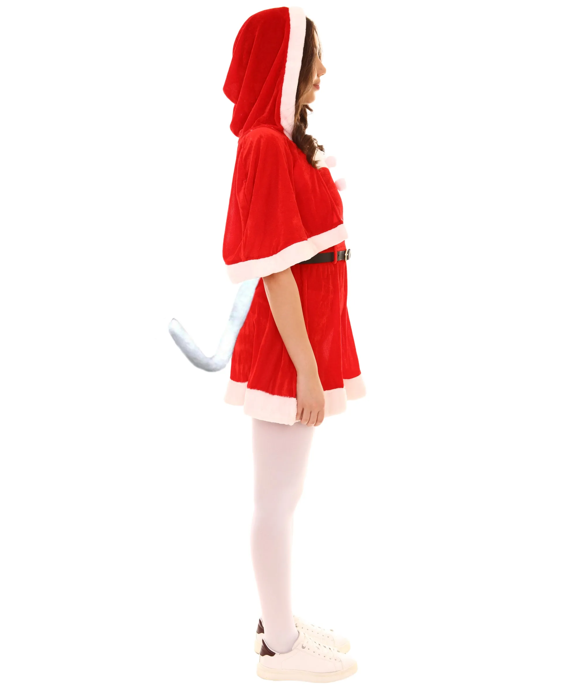 Adult Women's Sexy Mrs. Claus Xmas Costume |  Red Halloween Costume