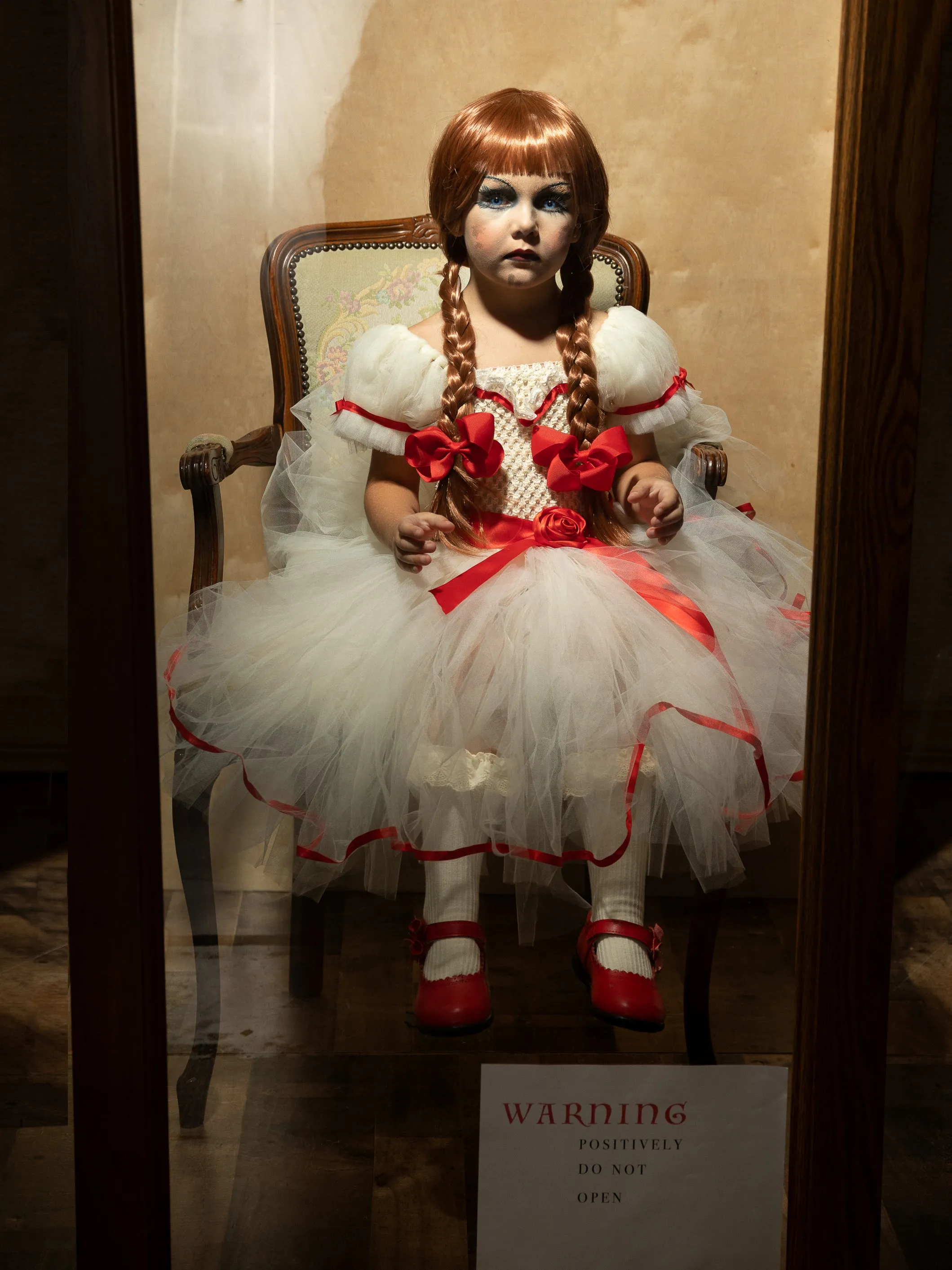 Girls Haunted Annabelle Doll Inspired Tutu Costume Dress