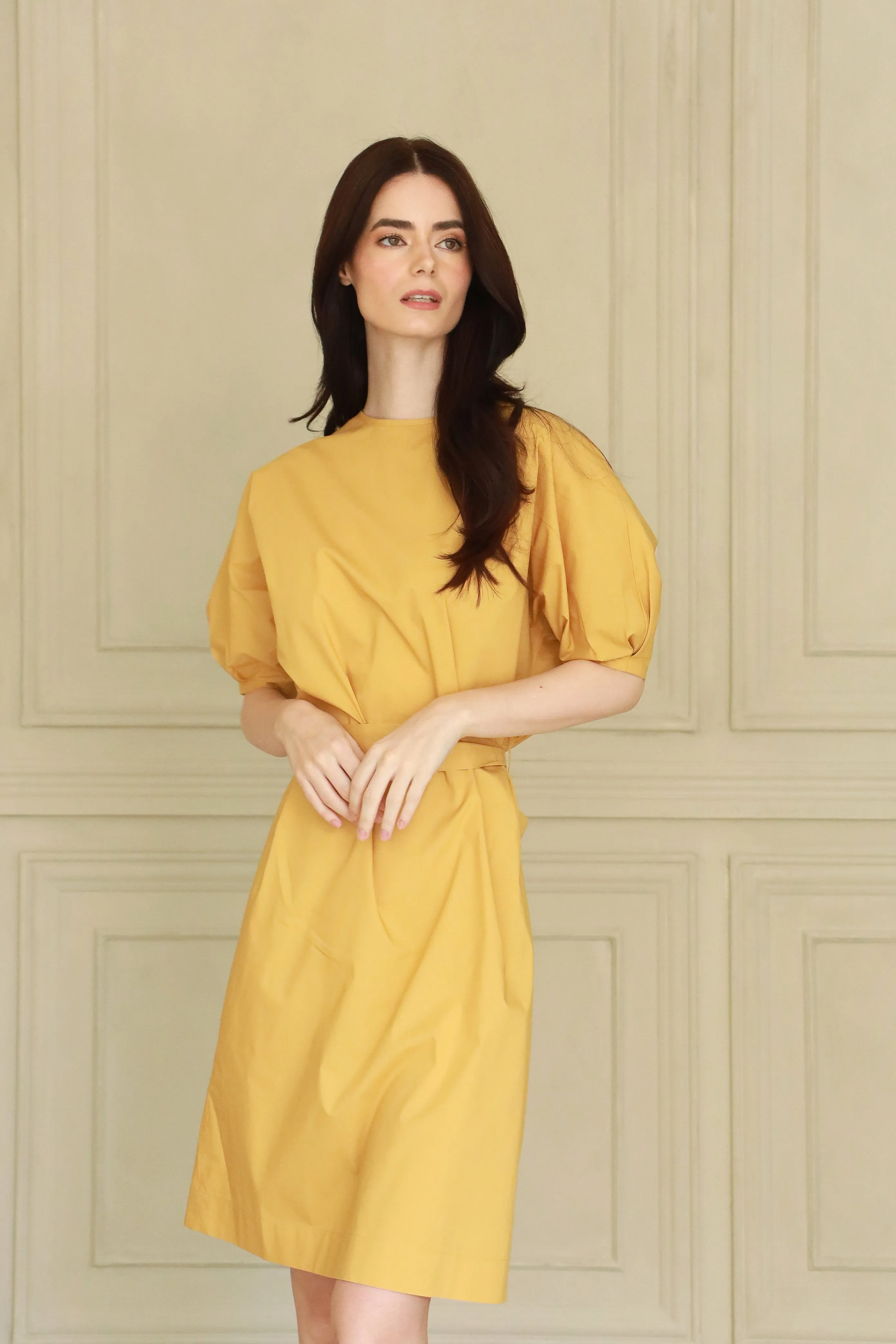 Johan Poplin Dress