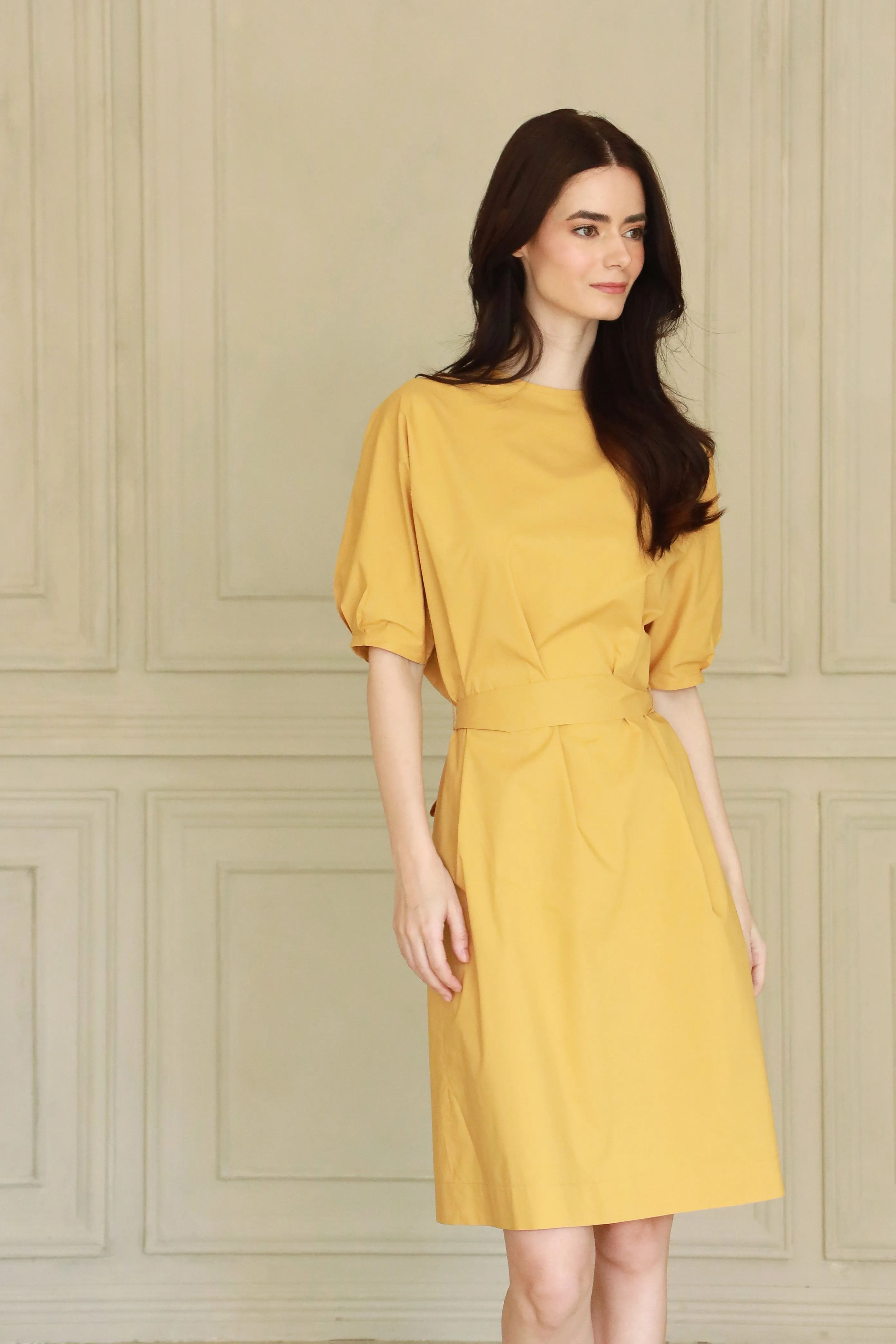 Johan Poplin Dress