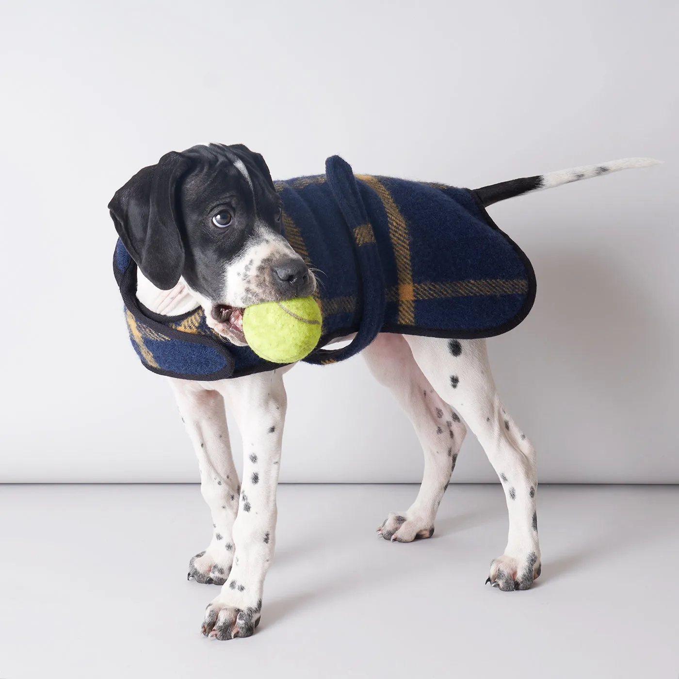 Pure New Wool Dog Coat