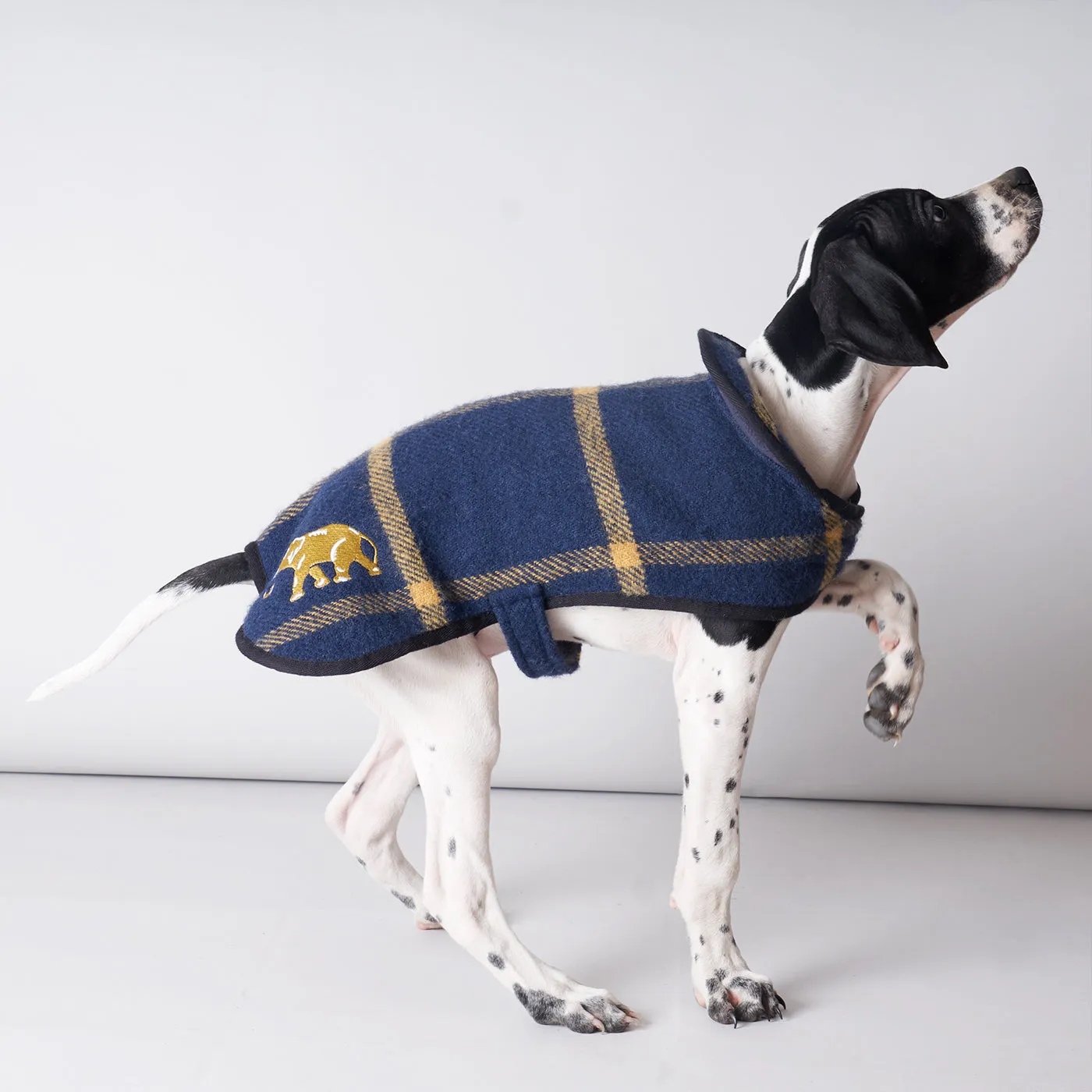 Pure New Wool Dog Coat